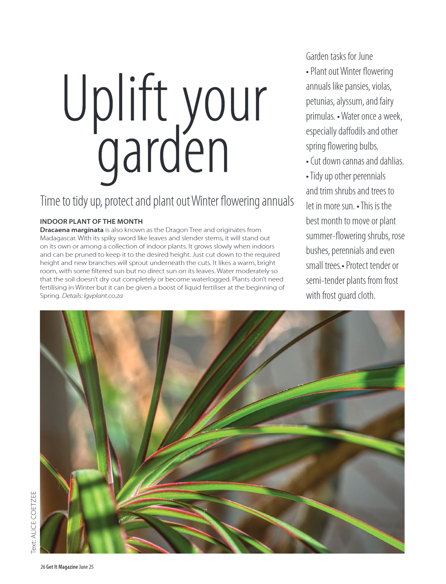 Get It JHB North June 2025 page 26