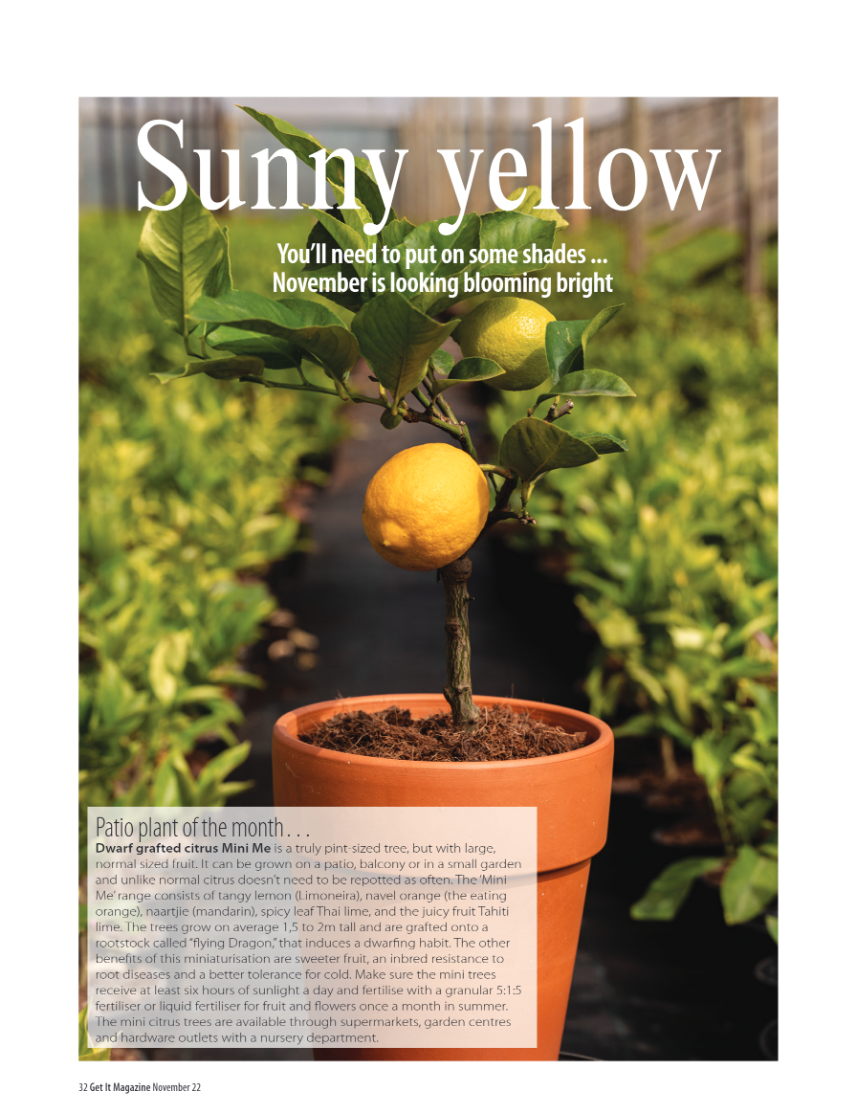 Get It JHB North Nov 2022 page 32