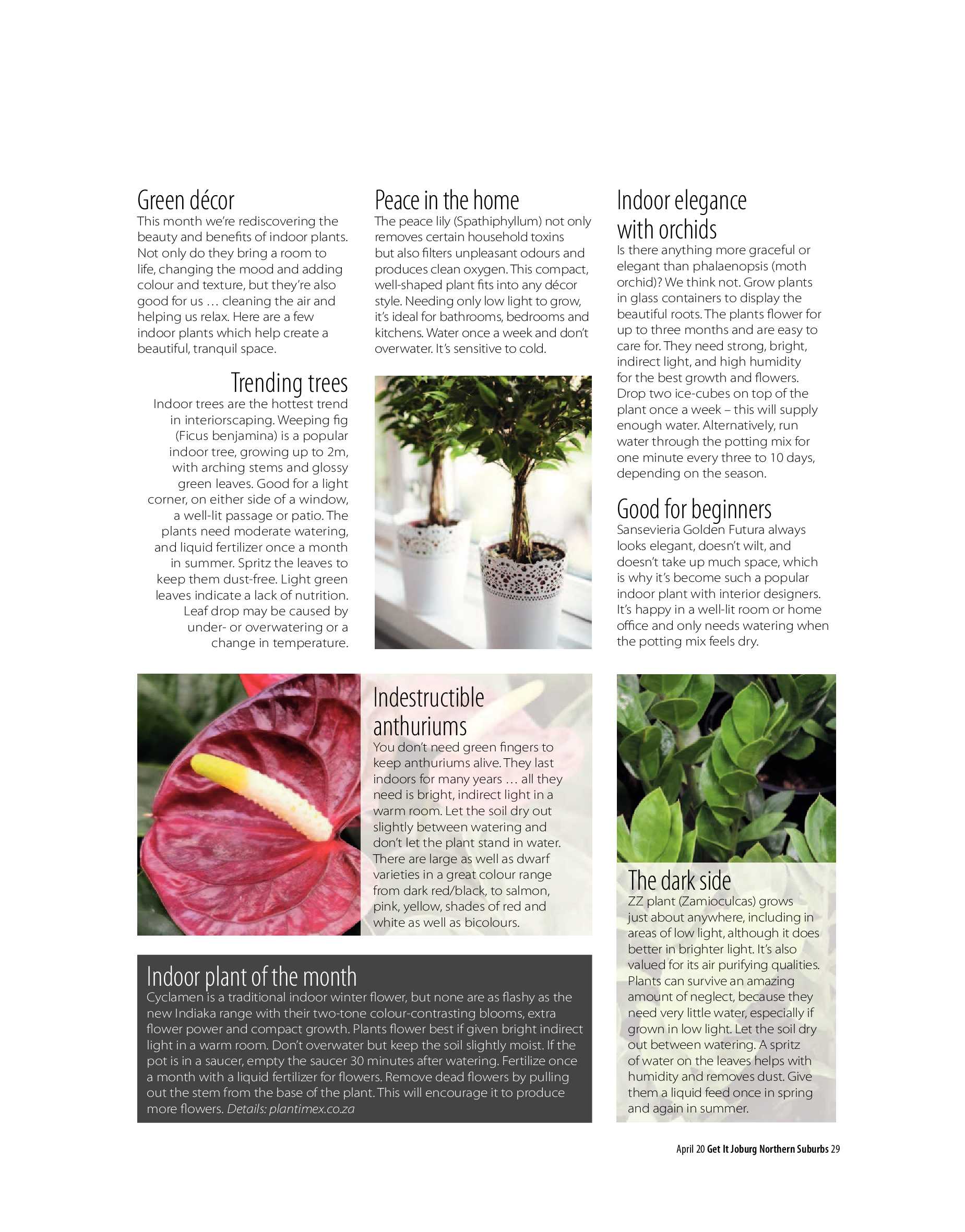 Get It Joburg North April 2020 page 29