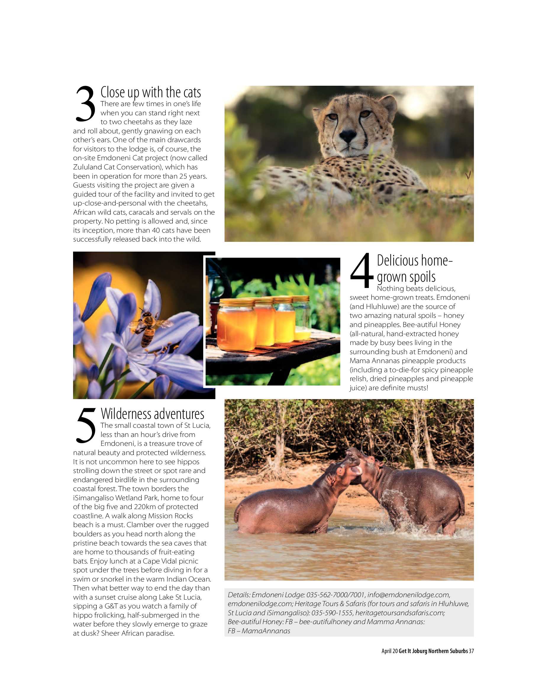 Get It Joburg North April 2020 page 37