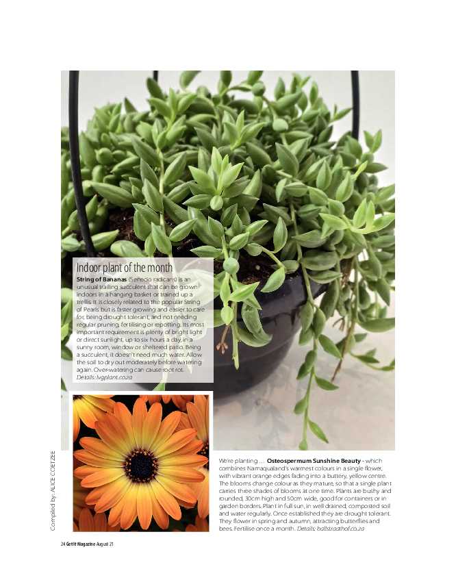 Get It Joburg North August 2021 page 24