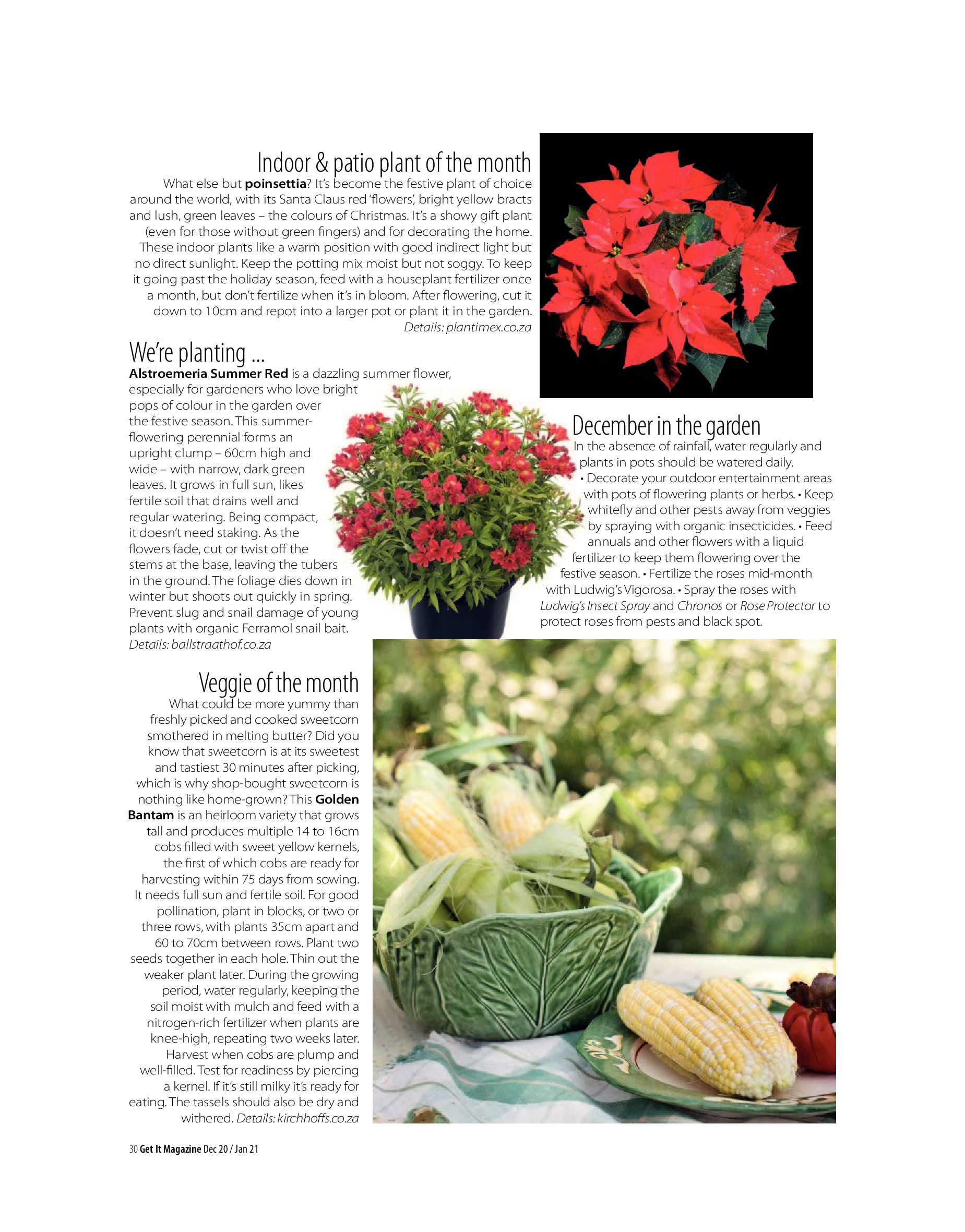 Get It Joburg North December  2020 page 30