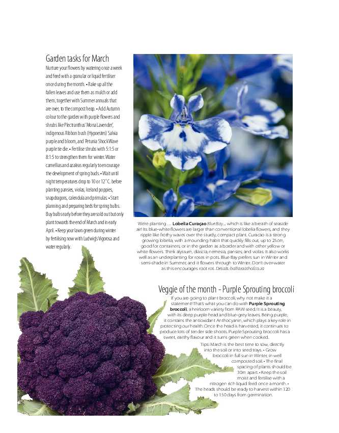 Get It Joburg North March 2022 page 24