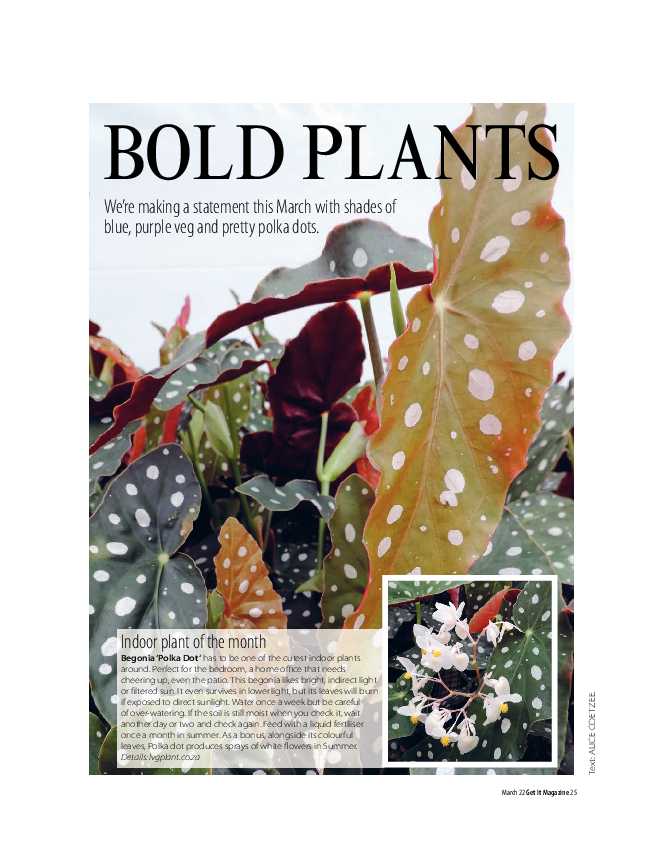 Get It Joburg North March 2022 page 25