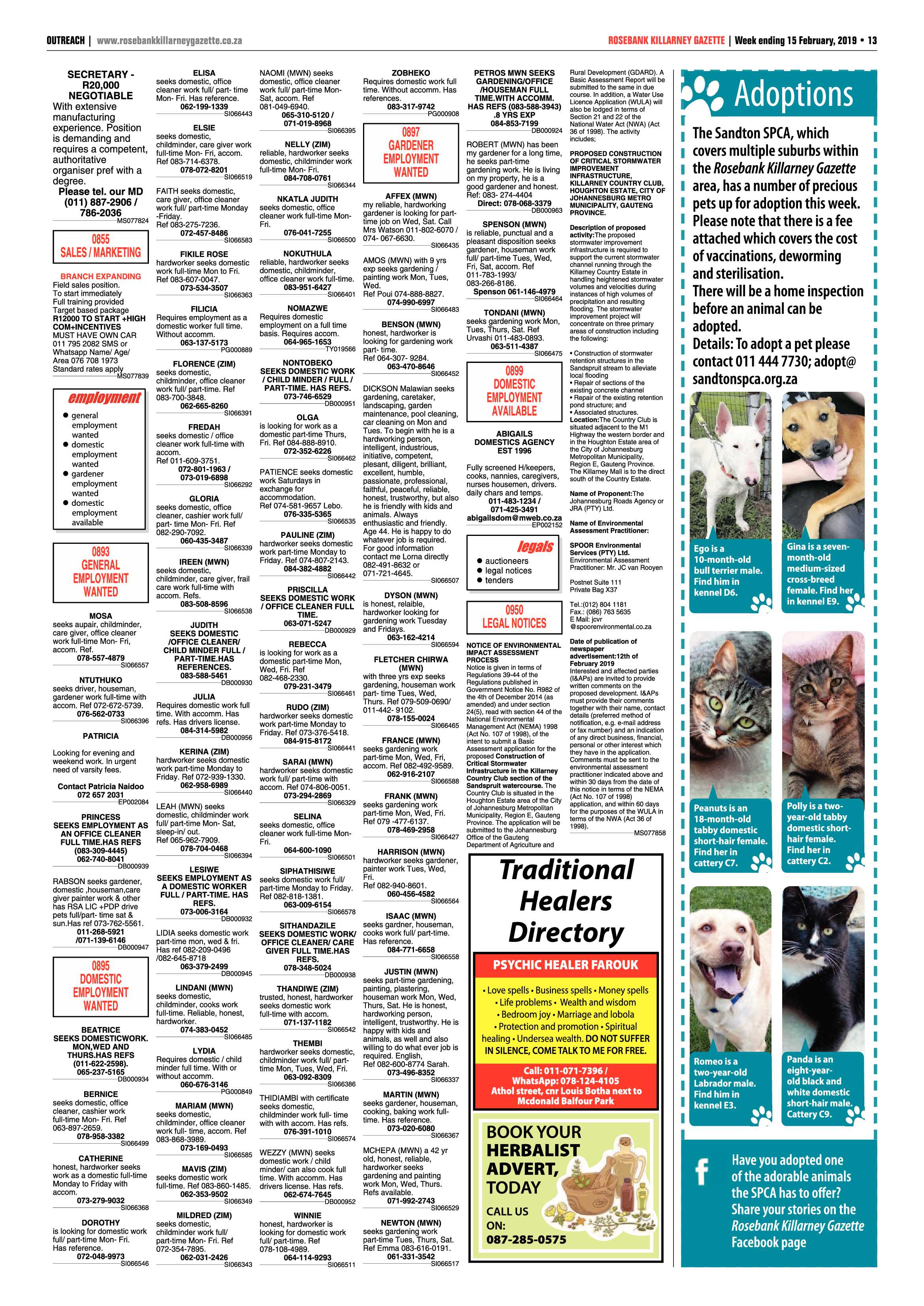 RKG 15 February, 2019 page 13