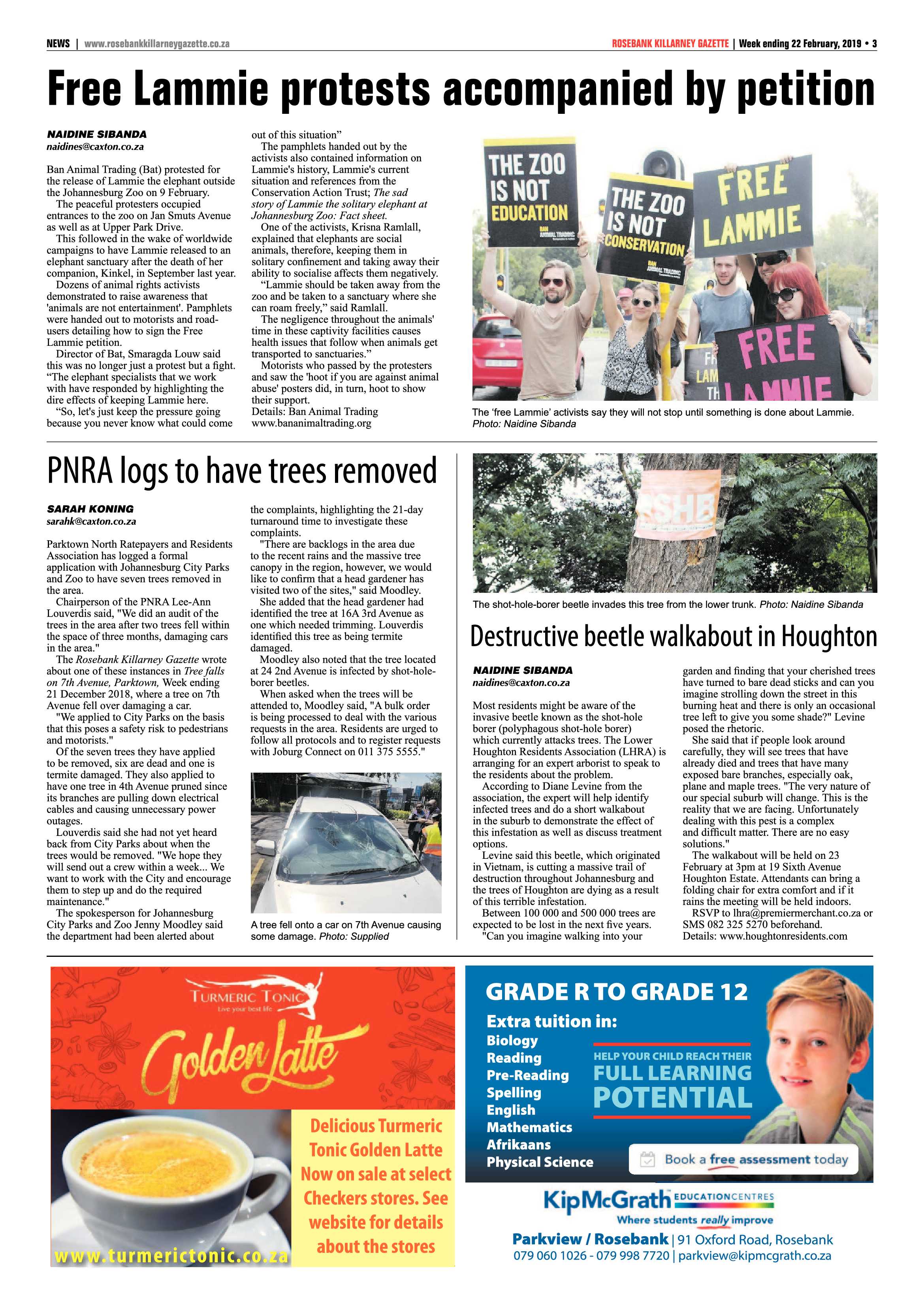 RKG 22 February, 2019 page 3