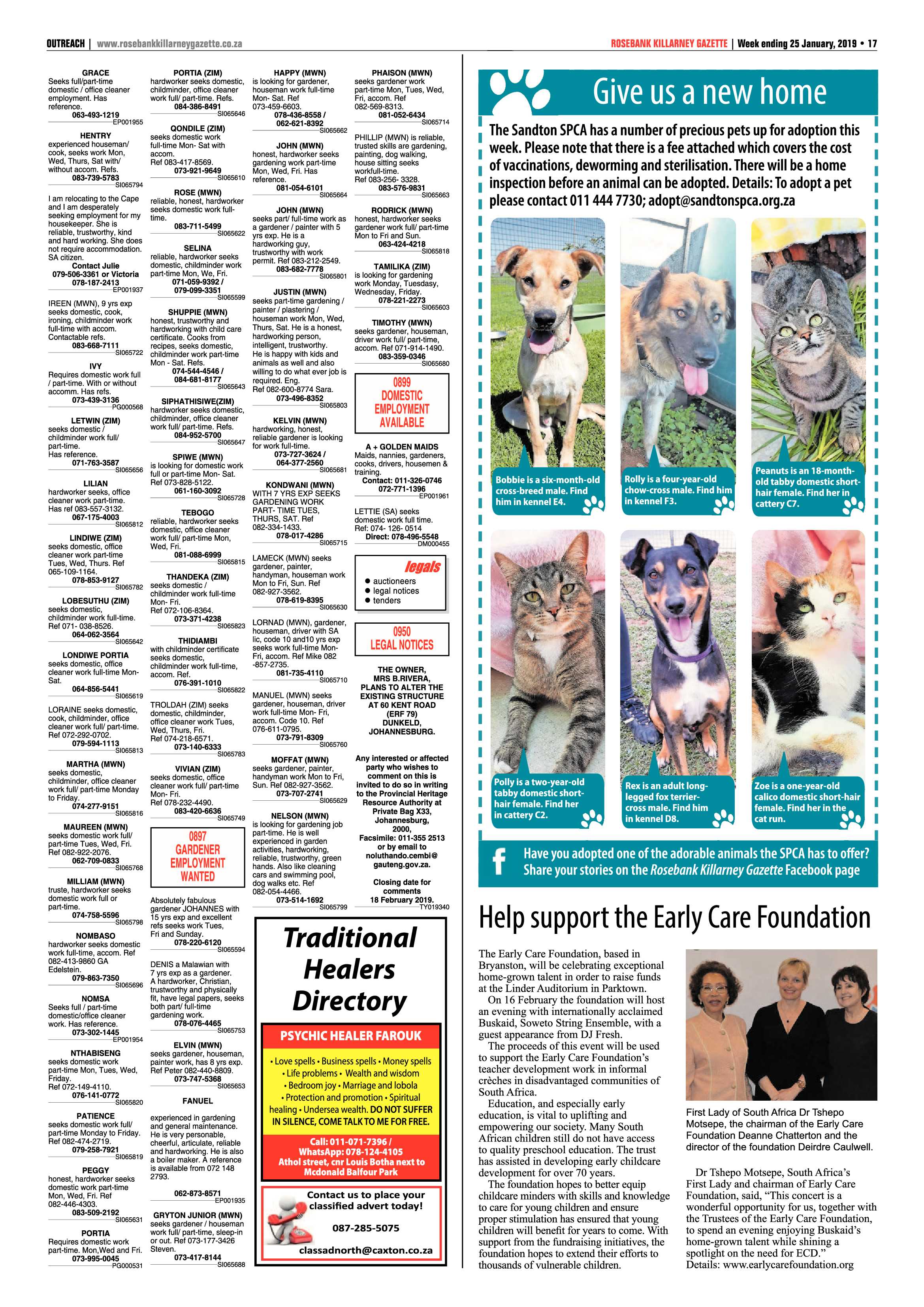 RKG 25 January, 2019 page 17