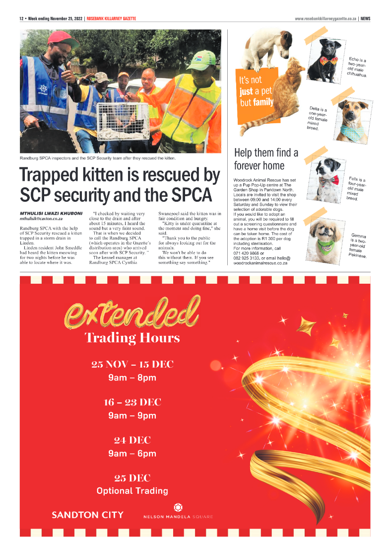 Rosebank Killarney Gazette Nov 25 2022 page 12