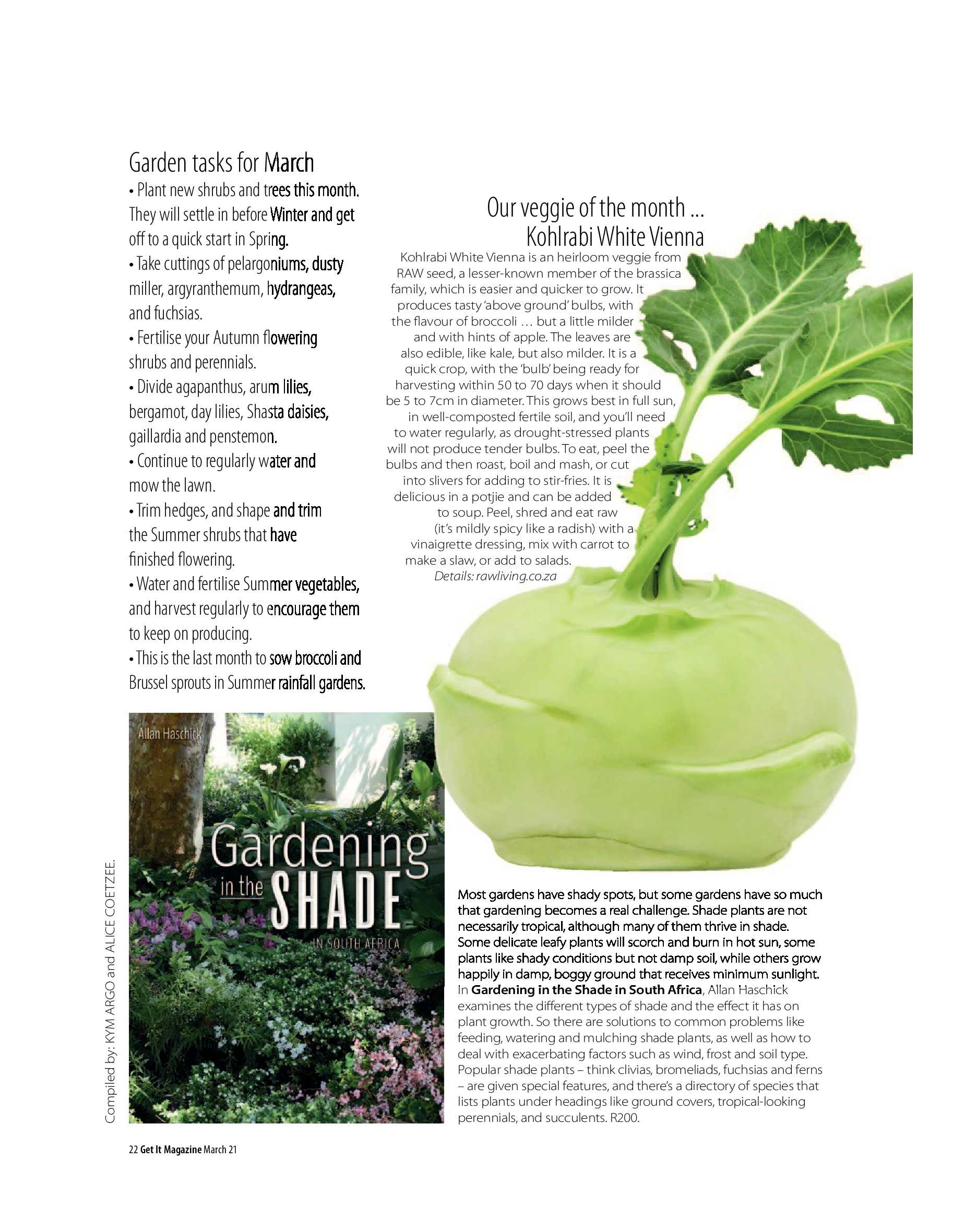 Get It Joburg North March 2021 page 22