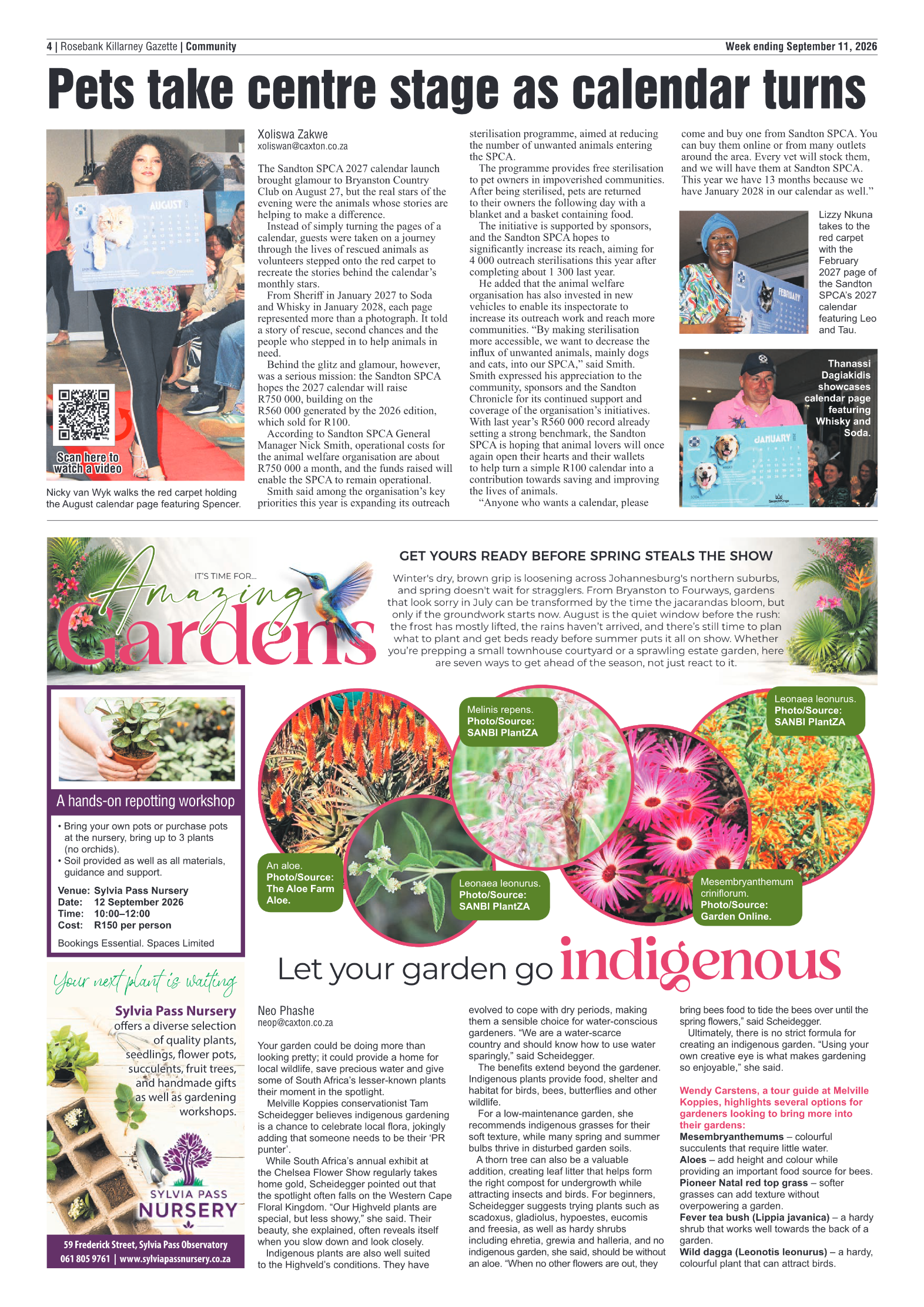 Rosebank Killarney Gazette 11 September 2026 page 4