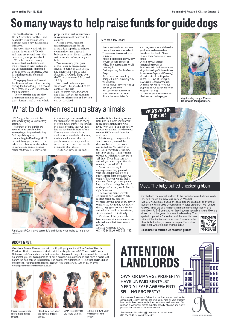 Rosebank Killarney Gazette 19 May 2023 page 7