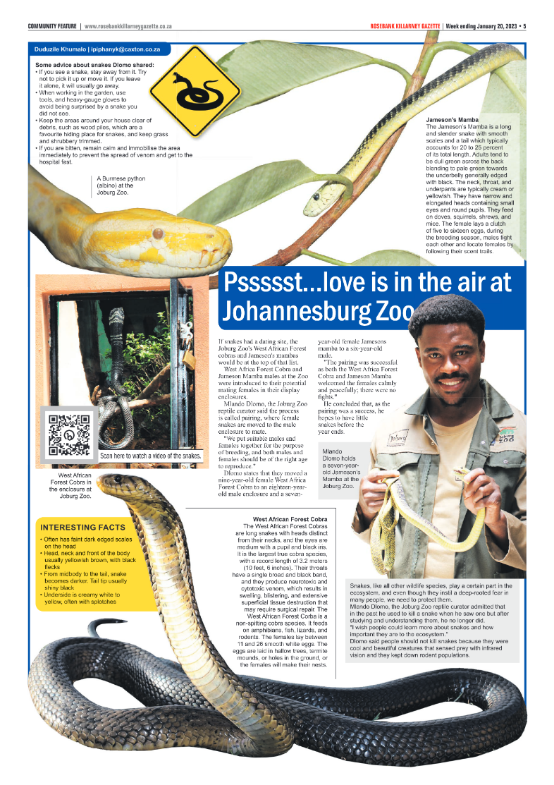 Rosebank Killarney Gazette 20 Jan 2023 page 5