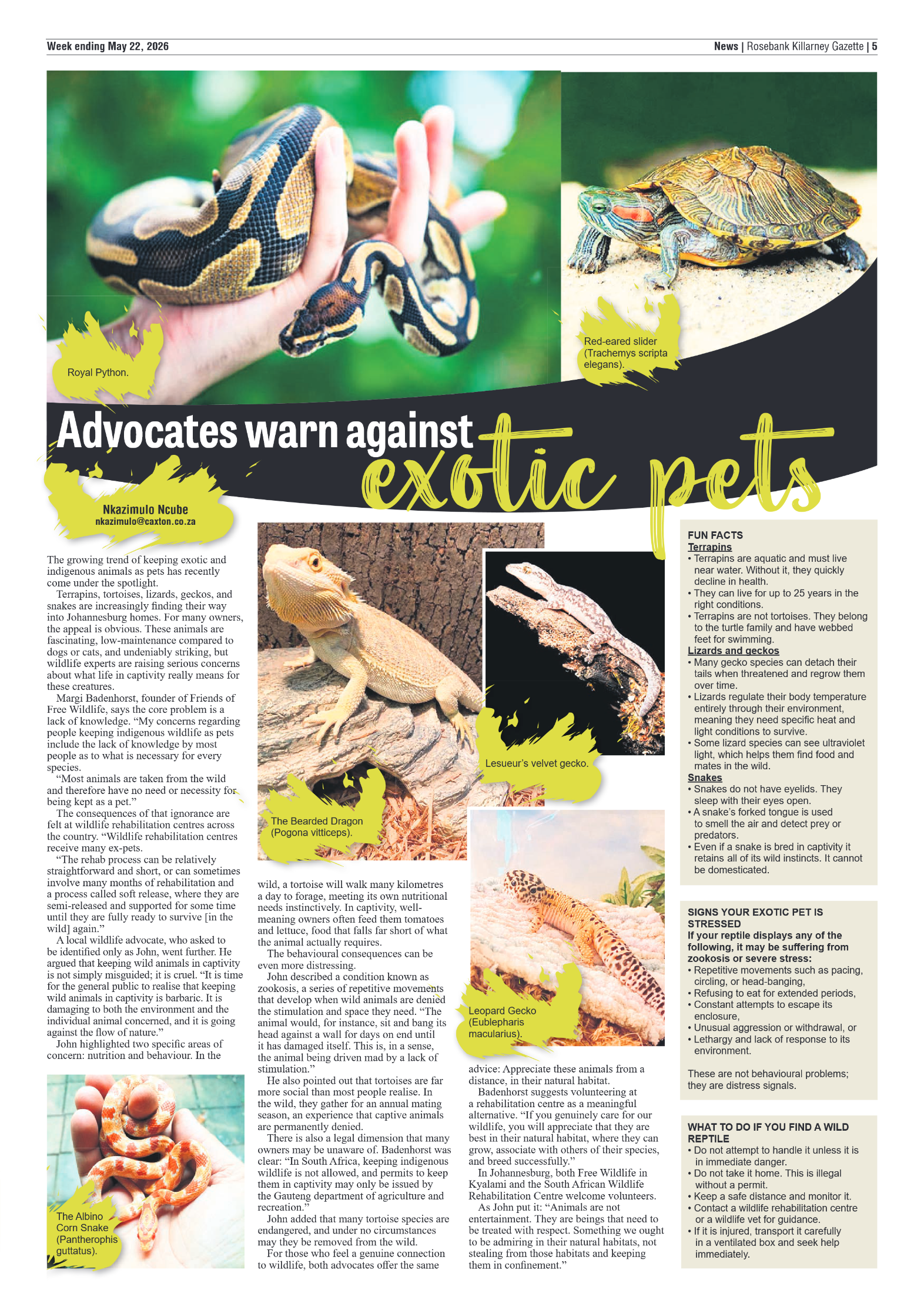 Rosebank Killarney Gazette 22 May 2026 page 5