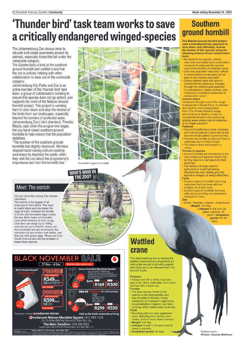 Rosebank Killarney Gazette 24 November 2023 page 4