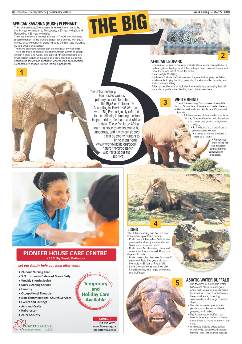 Rosebank Killarney Gazette 27 October 2023 page 8