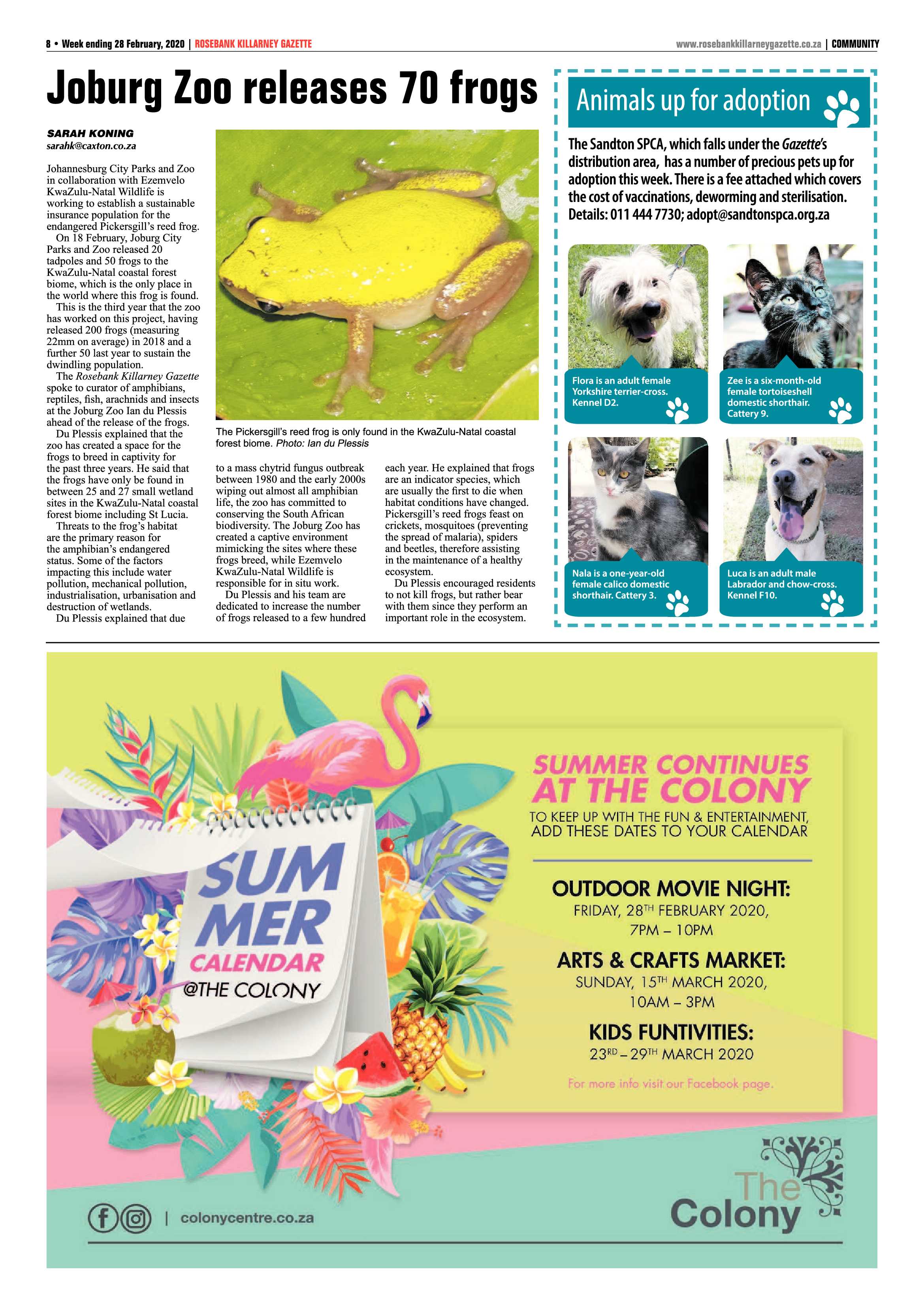 Rosebank Killarney Gazette 28 February 2020 page 8