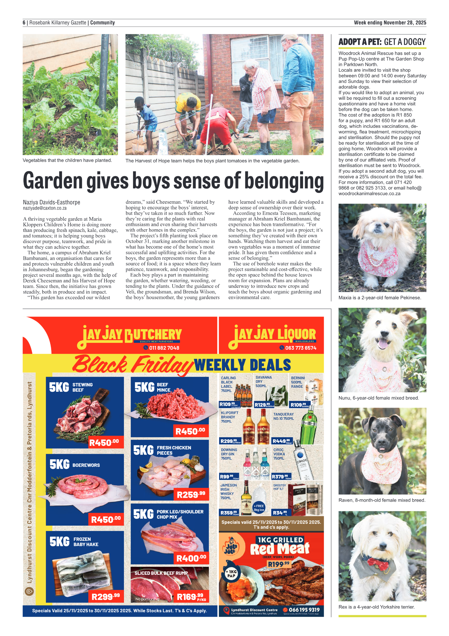 Rosebank Killarney Gazette 28 November 2025 page 8