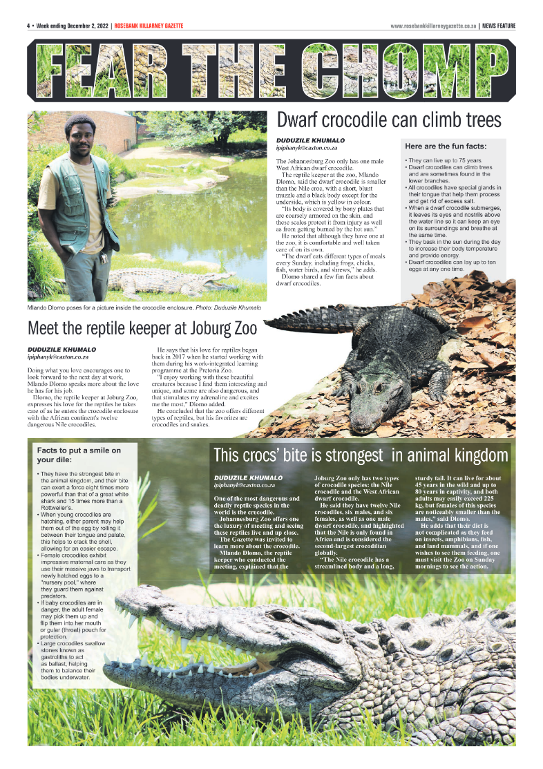 Rosebank Killarney Gazette 2 Dec 2022 page 4
