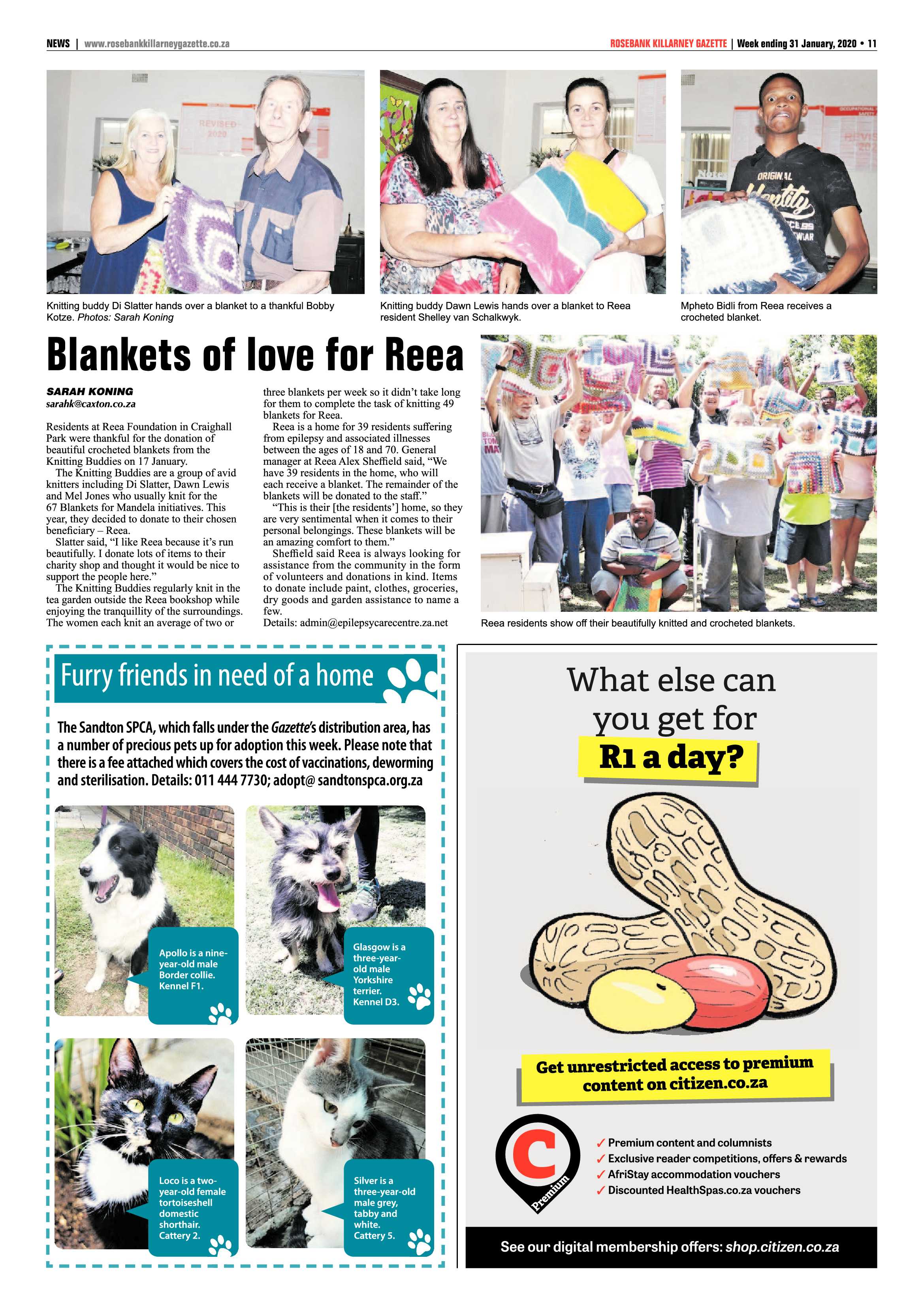 Rosebank Killarney Gazette 31 January 2020 page 11