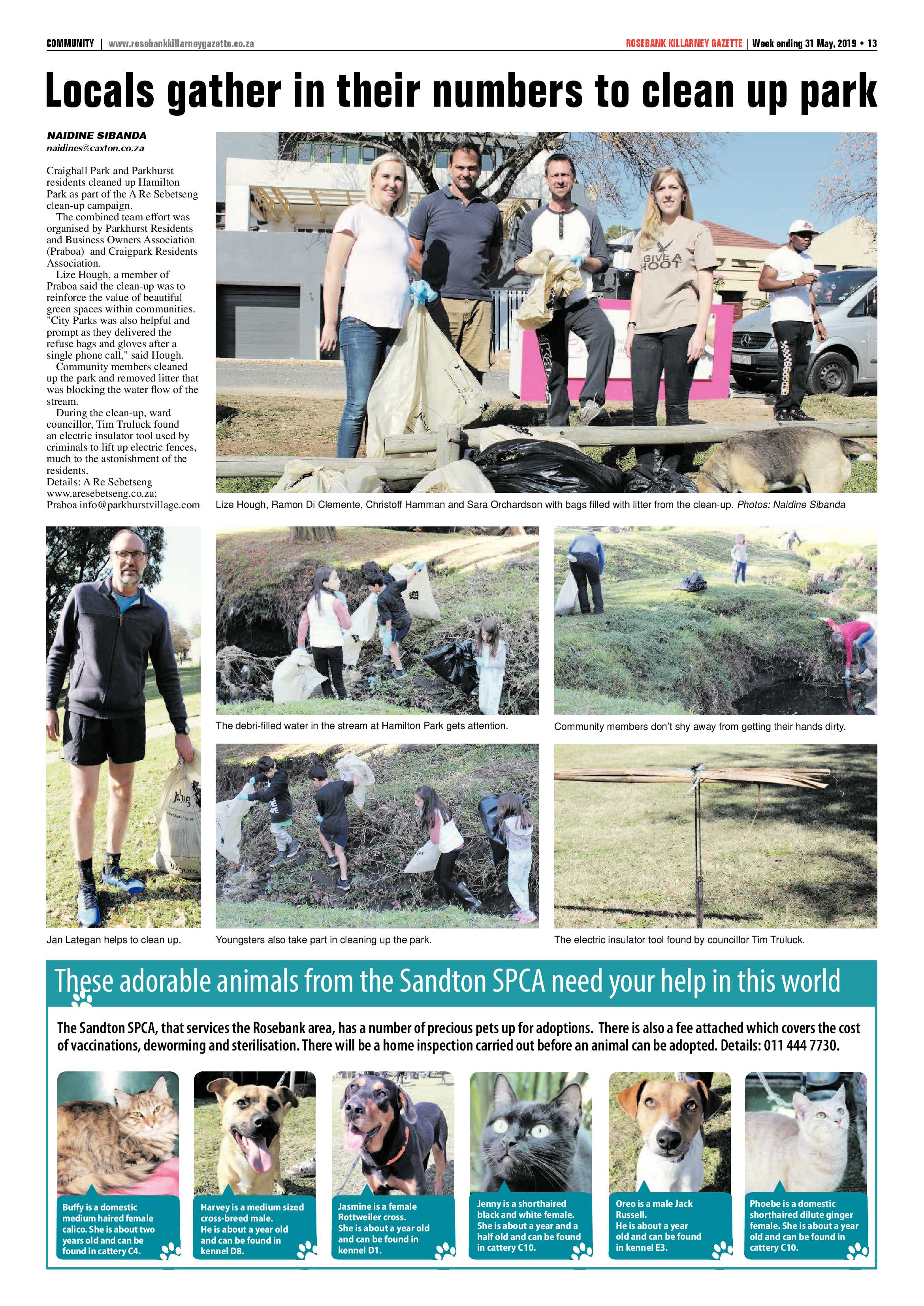 Rosebank Killarney Gazette 31 May, 2019 page 13