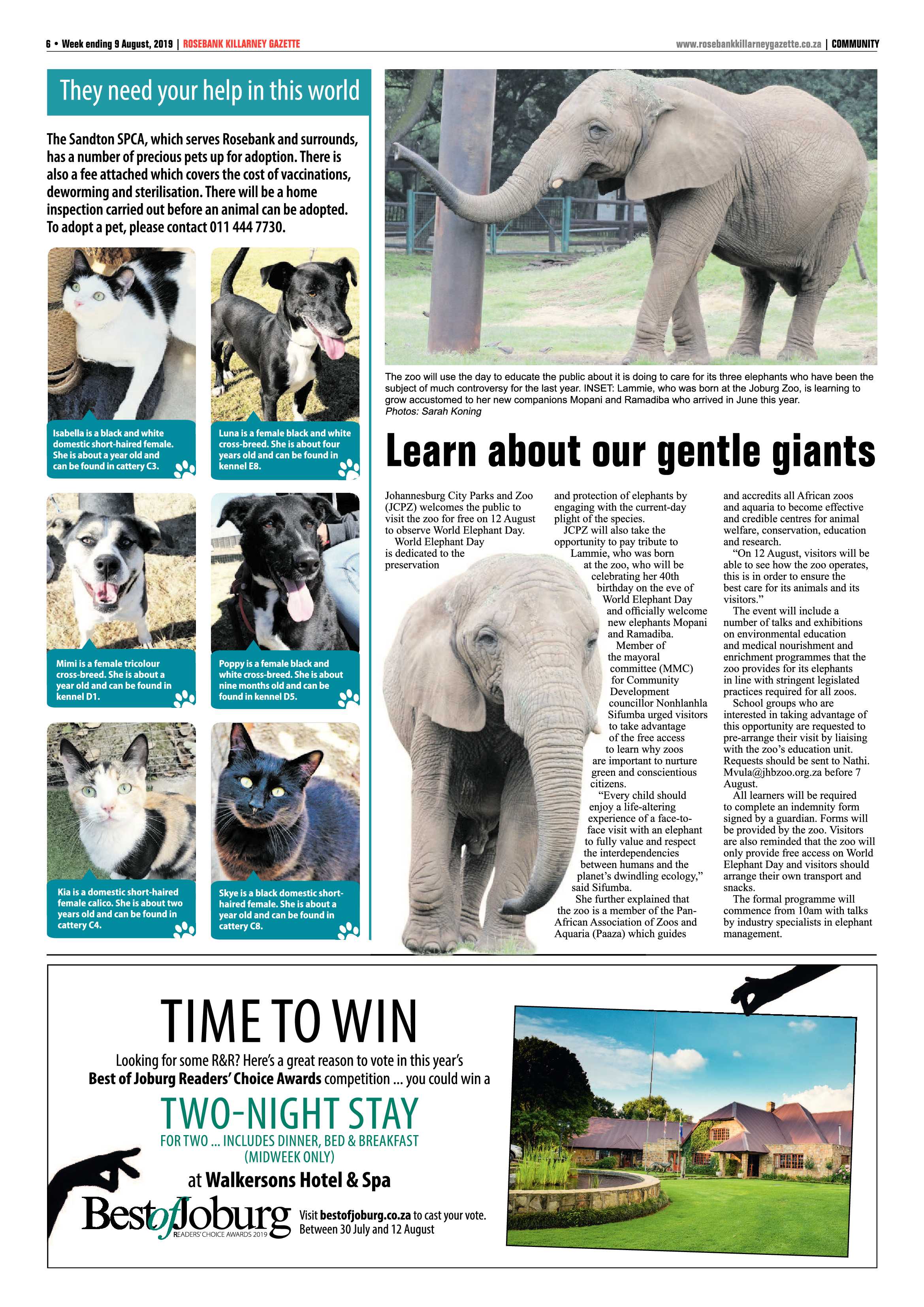 Rosebank Killarney Gazette 9 August, 2019 page 6