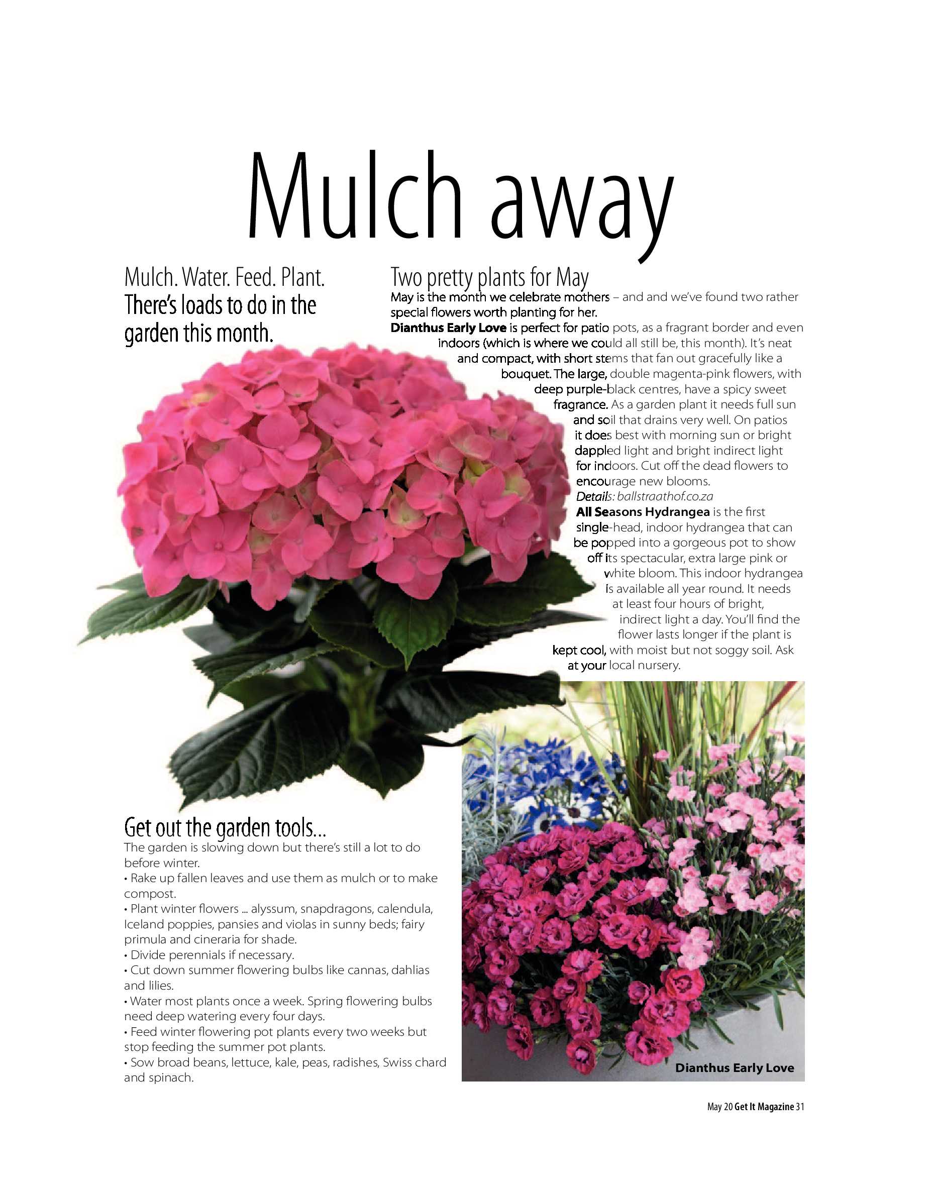 Get It Joburg North May 2020 page 31